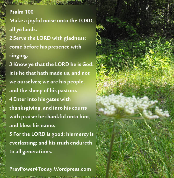 108 псалом читать отзывы